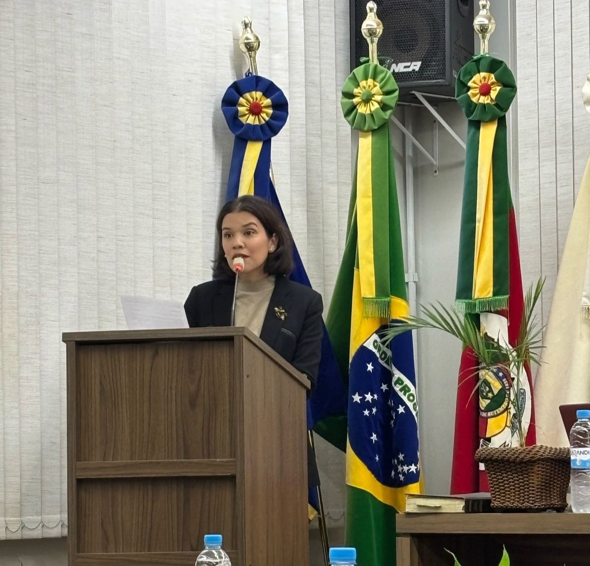 mariana_binato.jpg