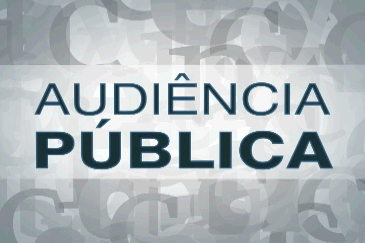 AUDIENCIA-PUBLICA